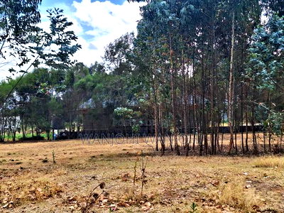 High-Grade Eighth Acre Plots at Kasuku - Image 2