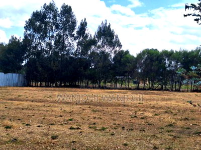 High-Grade Eighth Acre Plots at Kasuku - Image 5