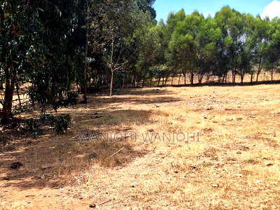 High-Grade Eighth Acre Plots at Kasuku - Image 4