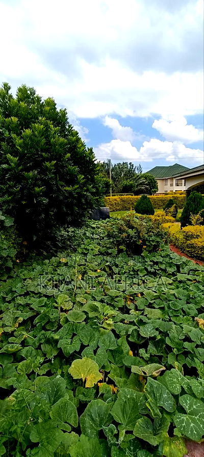 4bdrm Maisonette in Thika for rent - Image 8