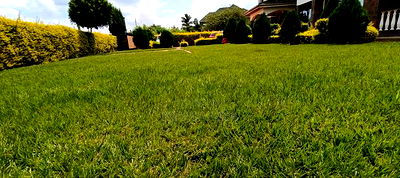 4bdrm Maisonette in Thika for rent - Image 7