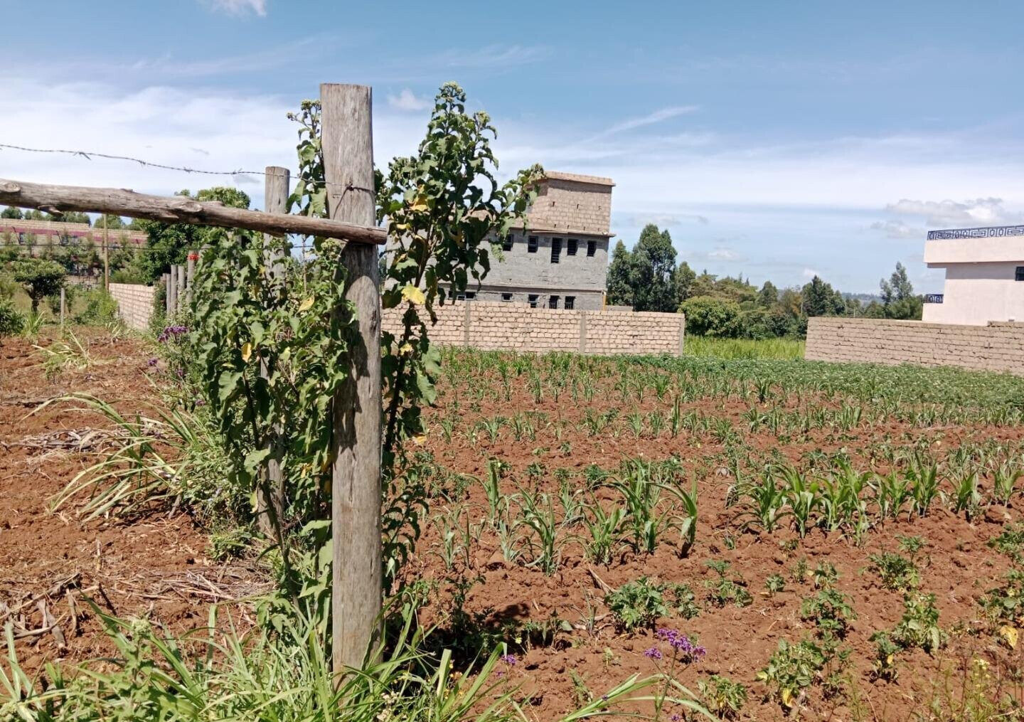 Garden Plot with Parking at KSh 3.5M