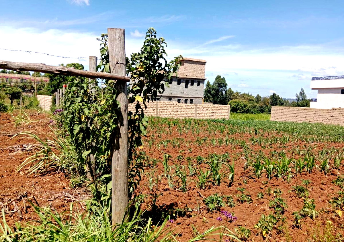 Garden Plot with Parking at KSh 3.5M
