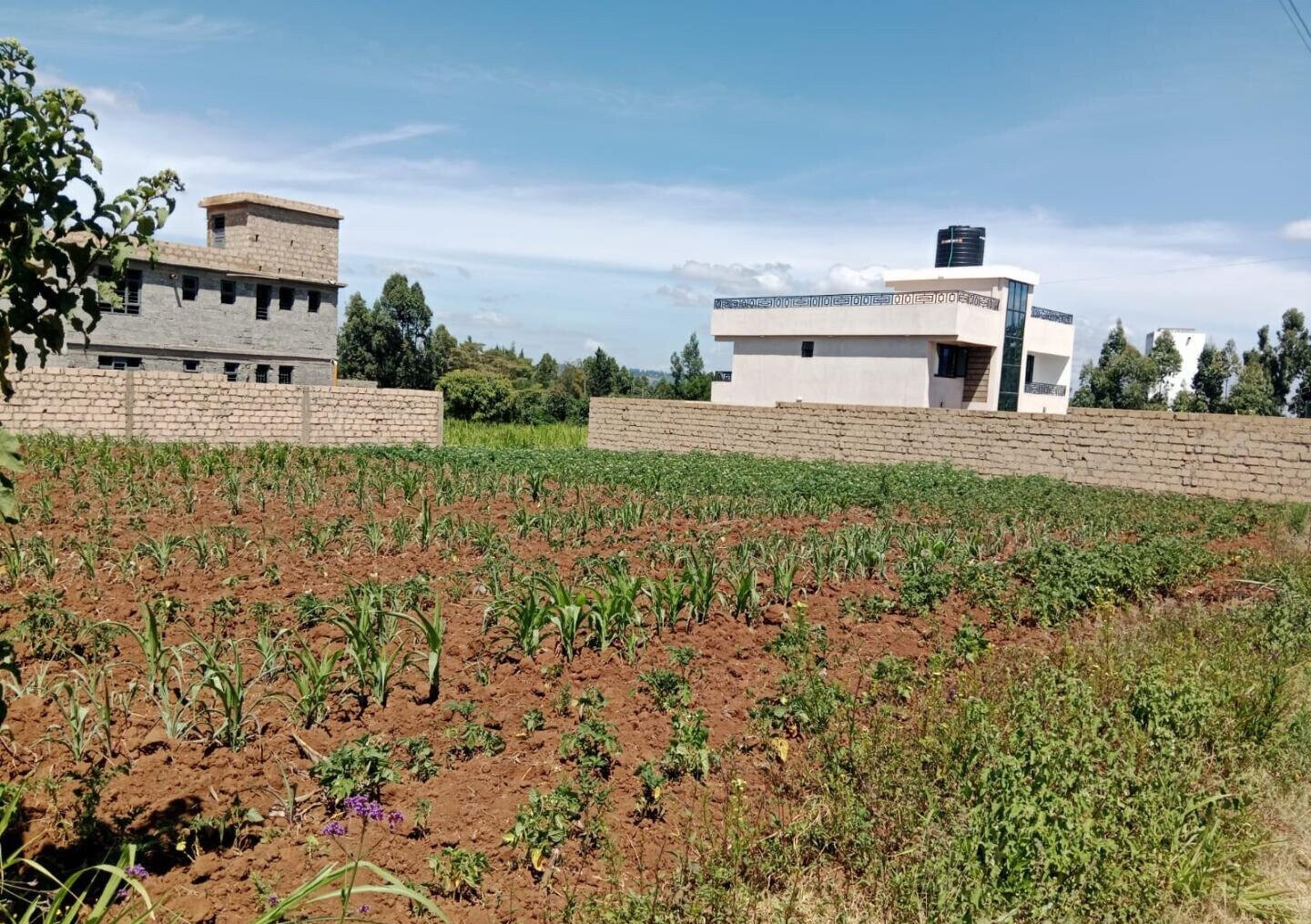 Garden Plot with Parking at KSh 3.5M