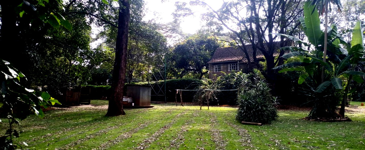 2.5-Acre Ridgeways Gem with Garden