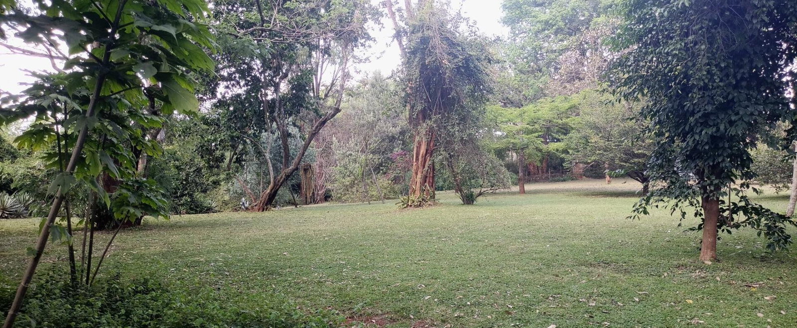2.5-Acre Ridgeways Gem with Garden