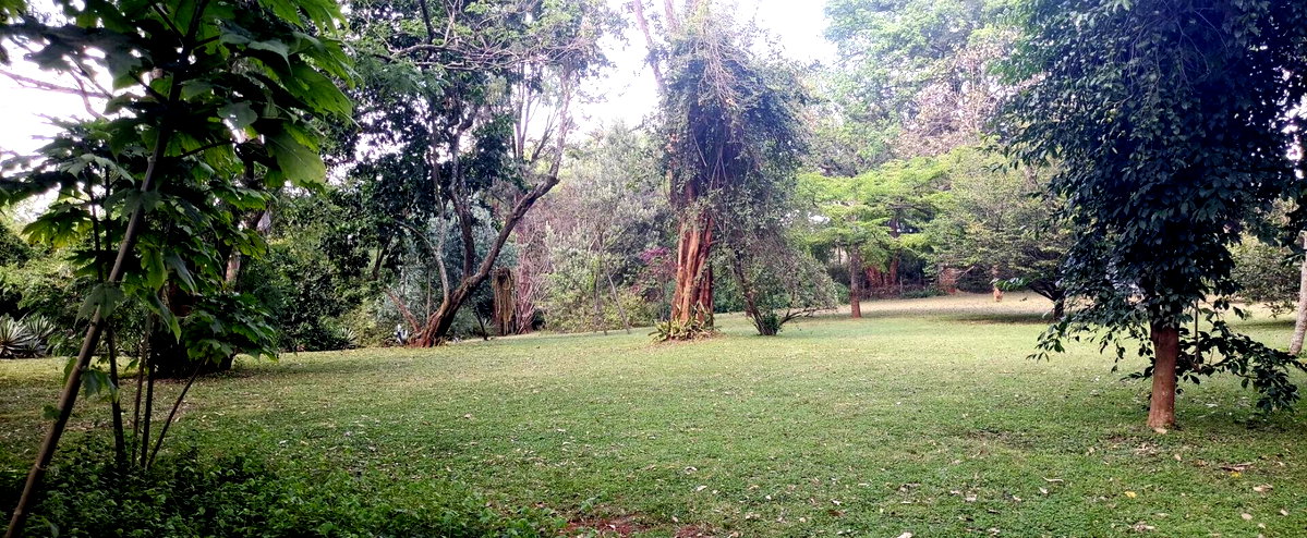 2.5-Acre Ridgeways Gem with Garden