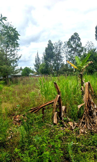 Half Acre in Ol Keri for KSh 12M