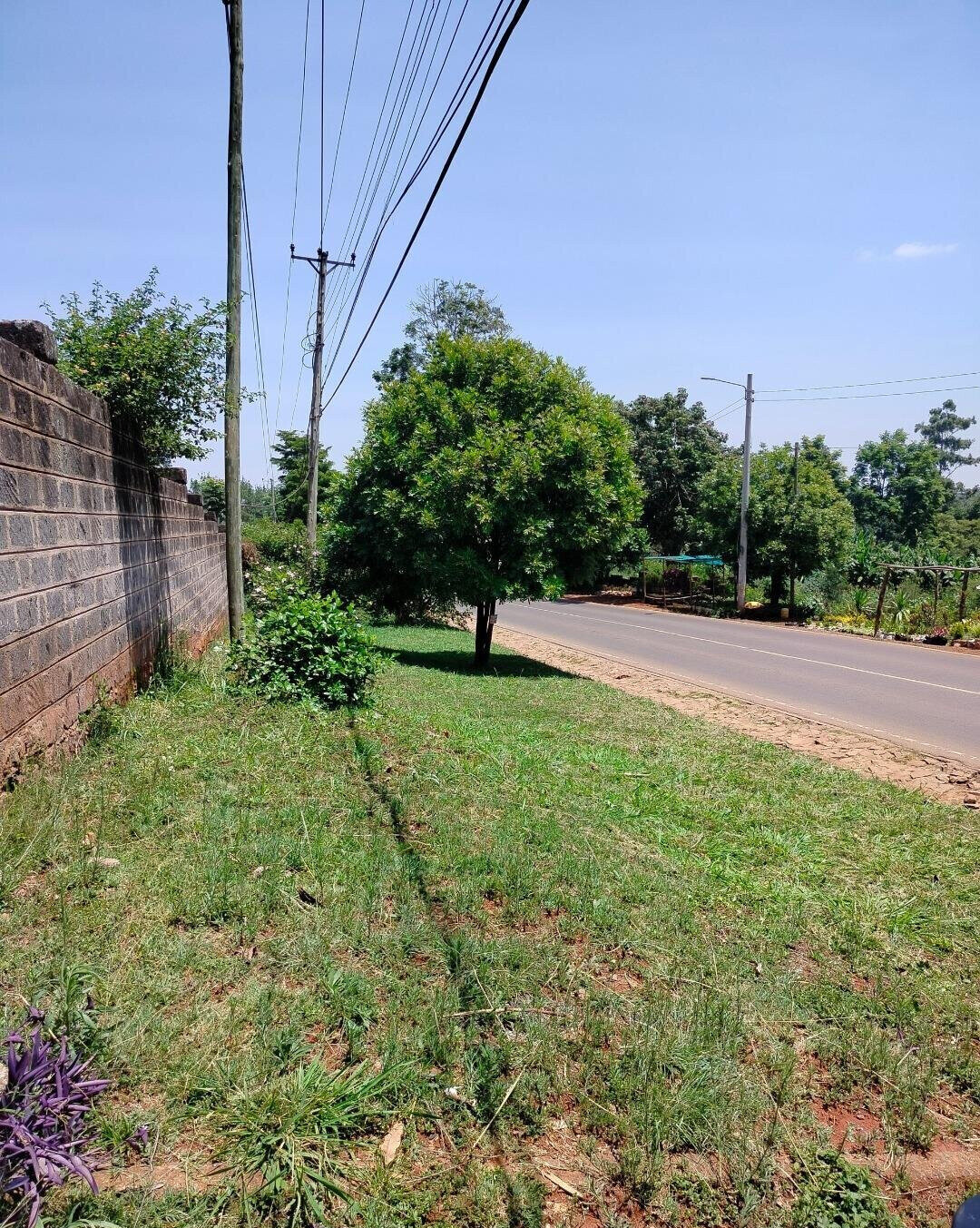 3/4 Acre Lavington Plot with Garden