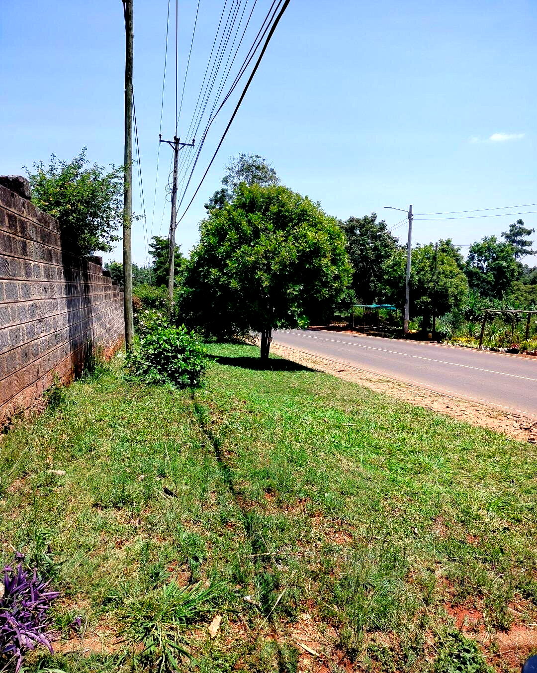 3/4 Acre Lavington Plot with Garden