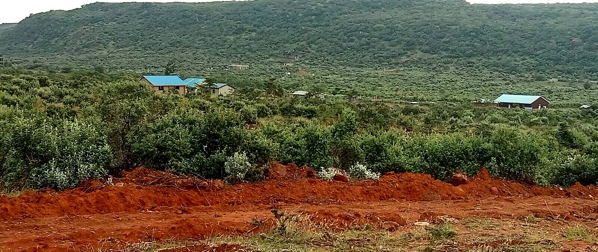 50x100 Plot Next to Indikirro Market