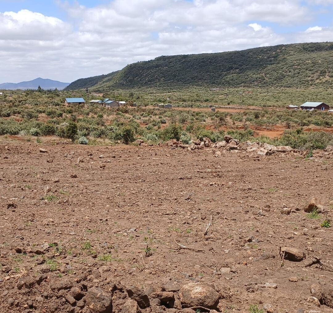 50x100 Plot Next to Indikirro Market