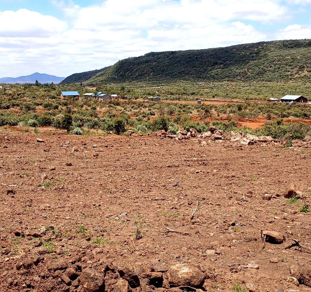 50x100 Plot Next to Indikirro Market