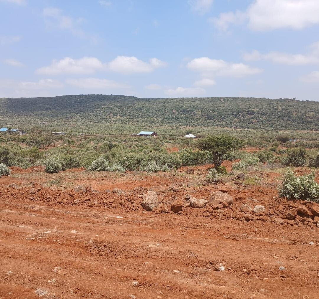50x100 Plot Next to Indikirro Market