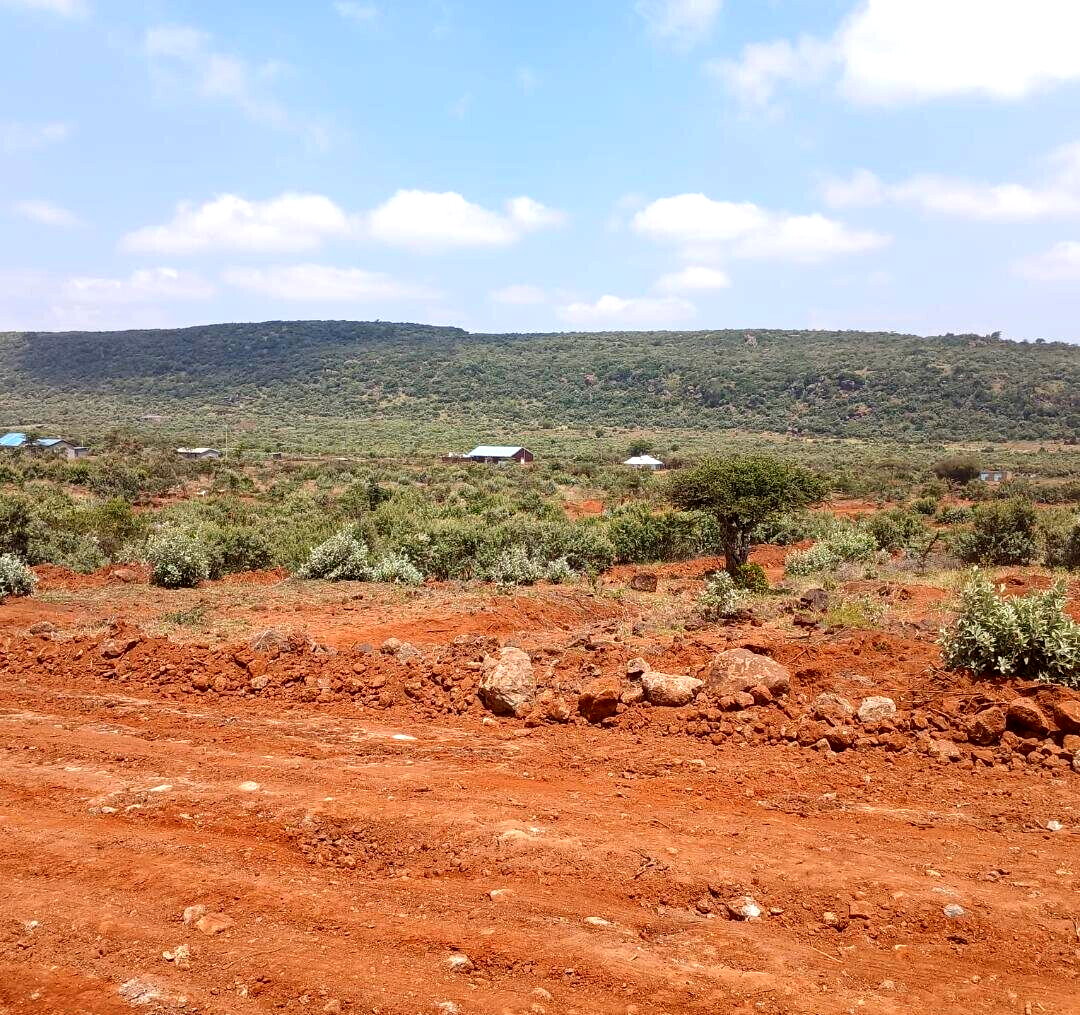 50x100 Plot Next to Indikirro Market