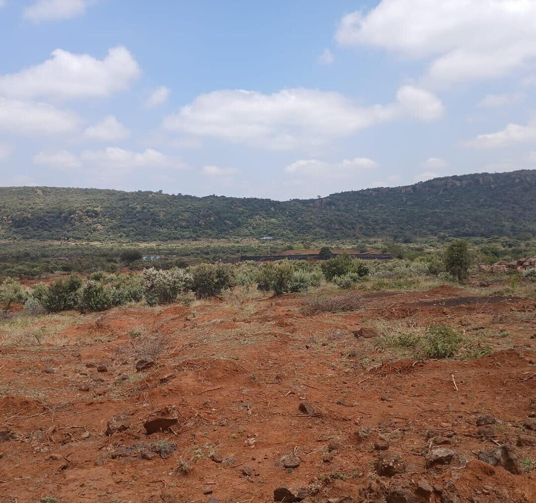 50x100 Plot Next to Indikirro Market