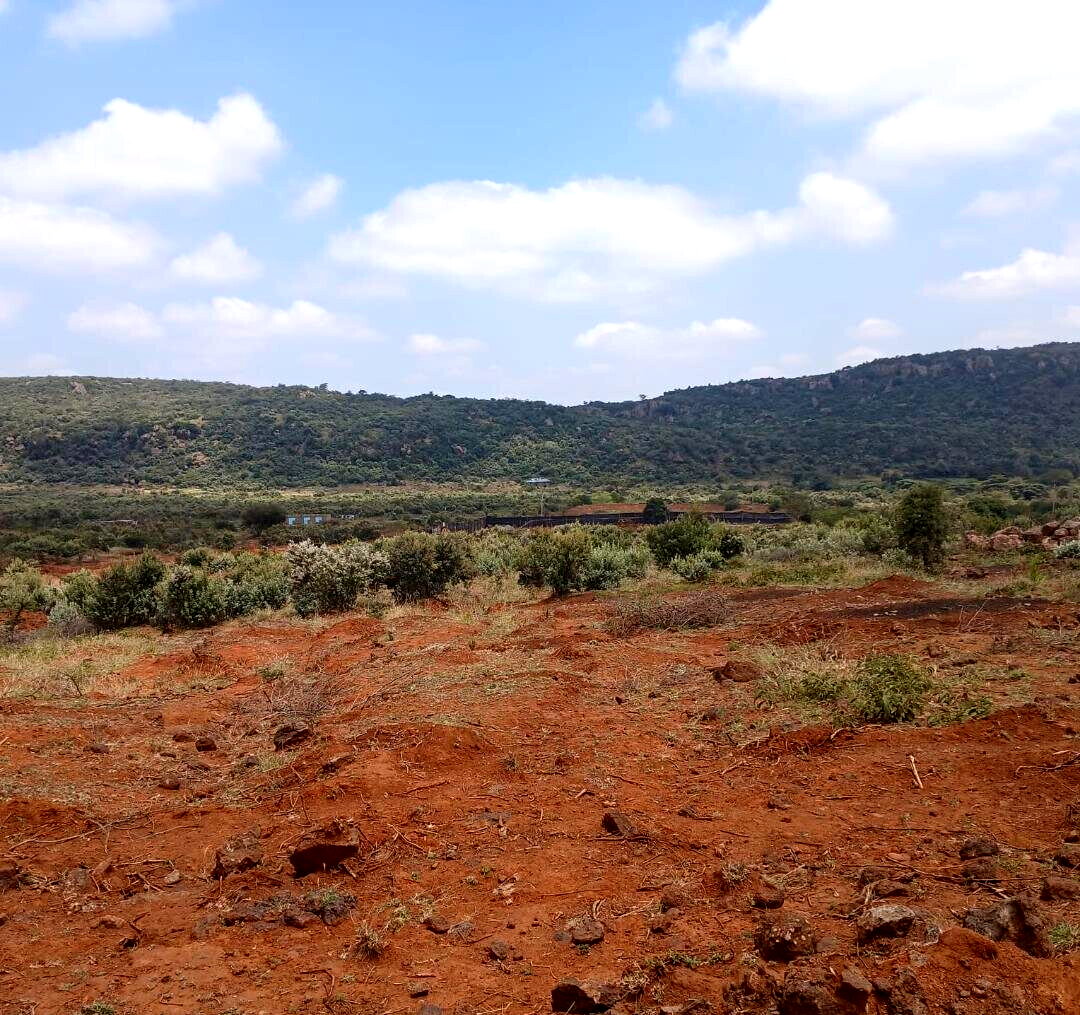 50x100 Plot Next to Indikirro Market