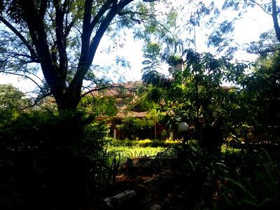 Furnished 5bdrm Maisonette in Mimosa Drive, Runda for Sale - Image 11