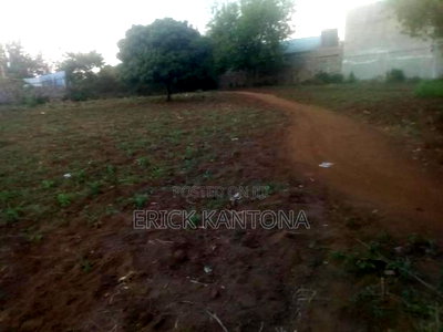 2pcs Titled50*100 on Sale at Ruiru Rainbow - Image 2