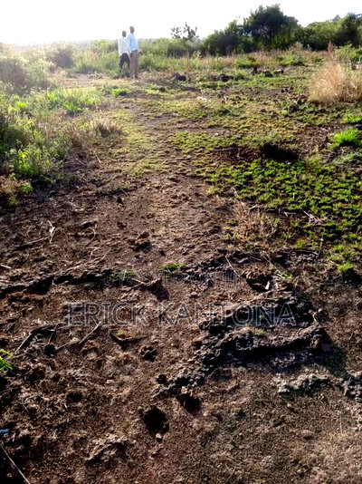 2pcs Titled50*100 on Sale at Ruiru Rainbow - Image 3