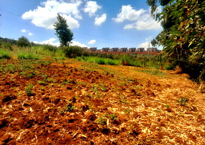 6.5-Acre Land in Limuru Kabuku
