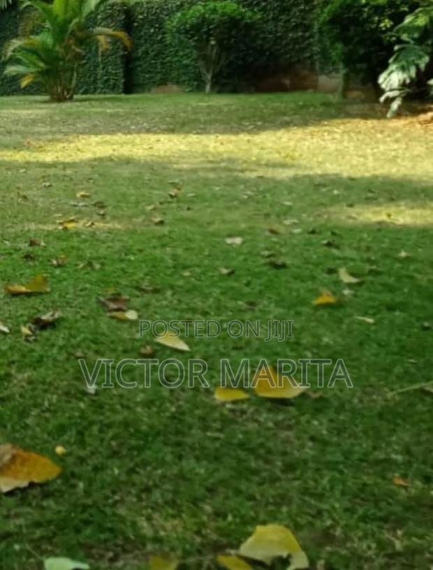 1/2 Acre Land Opposite Enaishipai Hotel Naivasha for Sale.