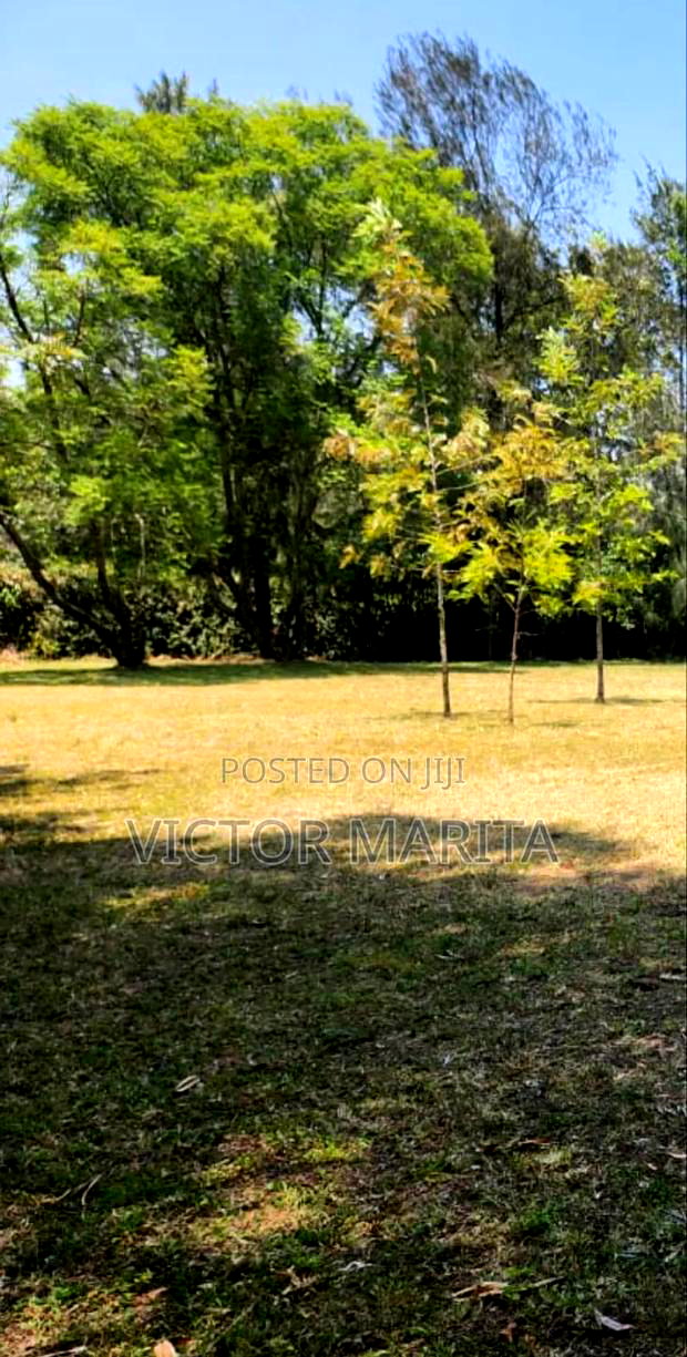 1/2 Acre Land Opposite Enaishipai Hotel Naivasha for Sale.