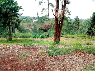 50x100 Plots at Kagongo Tinganga - Image 4