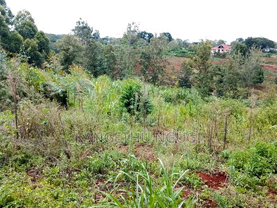 50x100 Plots at Kagongo Tinganga - Image 7