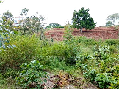50x100 Plots at Kagongo Tinganga - Image 3