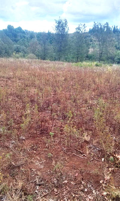 3-Acre Land with River View - Laikipia