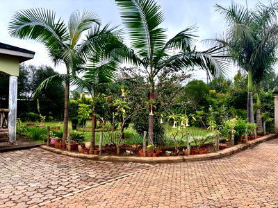 3bdrm Maisonette in Thika Greens, Bendor Estate for sale - Image 4