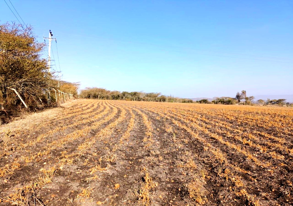 1 Acre Plot in Machakos Town