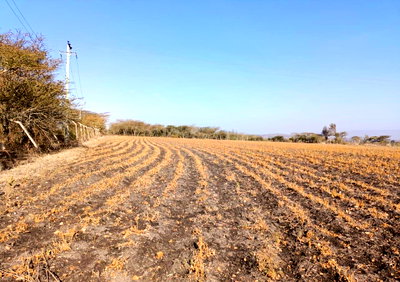 1 Acre Plot in Machakos Town