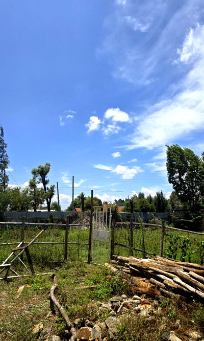 Quarter Acre Garden Plot