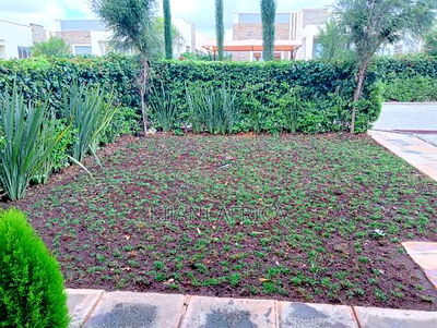 4bdrm Maisonette in Joska for rent - Image 8