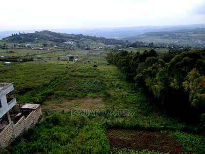 1/4 Acre Kibiko at 7m - Image 9