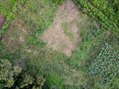 1/4 Acre Kibiko at 7m - Image 7