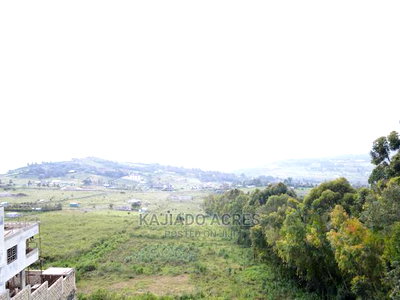 1/4 Acre Kibiko at 7m - Image 8