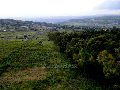 1/4 Acre Kibiko at 7m - Image 2