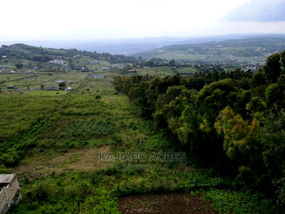 1/4 Acre Kibiko at 7m - Image 1
