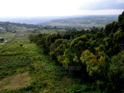 1/4 Acre Kibiko at 7m - Image 5