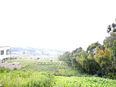 1/4 Acre Kibiko at 7m - Image 6
