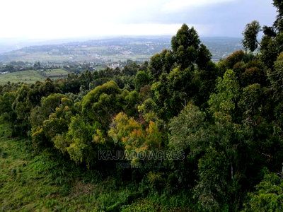 1/4 Acre Kibiko at 7m - Image 3