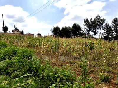Half Acre Plot on Sale in Kibiku Touching Ngong-Suswa Road - Image 5