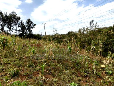 Half Acre Plot on Sale in Kibiku Touching Ngong-Suswa Road - Image 6