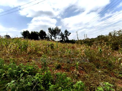 Half Acre Plot on Sale in Kibiku Touching Ngong-Suswa Road - Image 1
