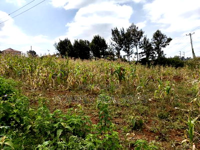 Half Acre Plot on Sale in Kibiku Touching Ngong-Suswa Road - Image 2