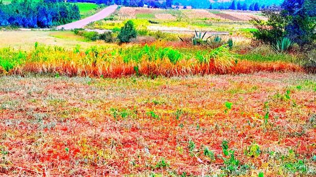 Plots for Sale in Kikuyu Thigio