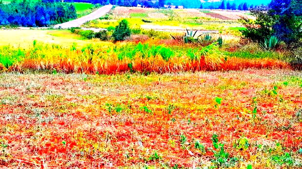 Plots for Sale in Kikuyu Thigio